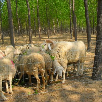 草原牛欄網(wǎng)的特點(diǎn)和基本用途
