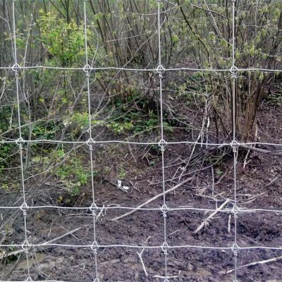 草原牛欄網(wǎng)生產(chǎn)中常見的規(guī)格